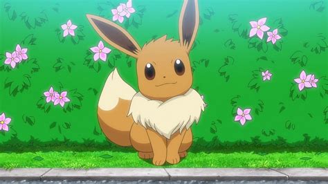 chloe and eevee|pokemon Eevee anime.